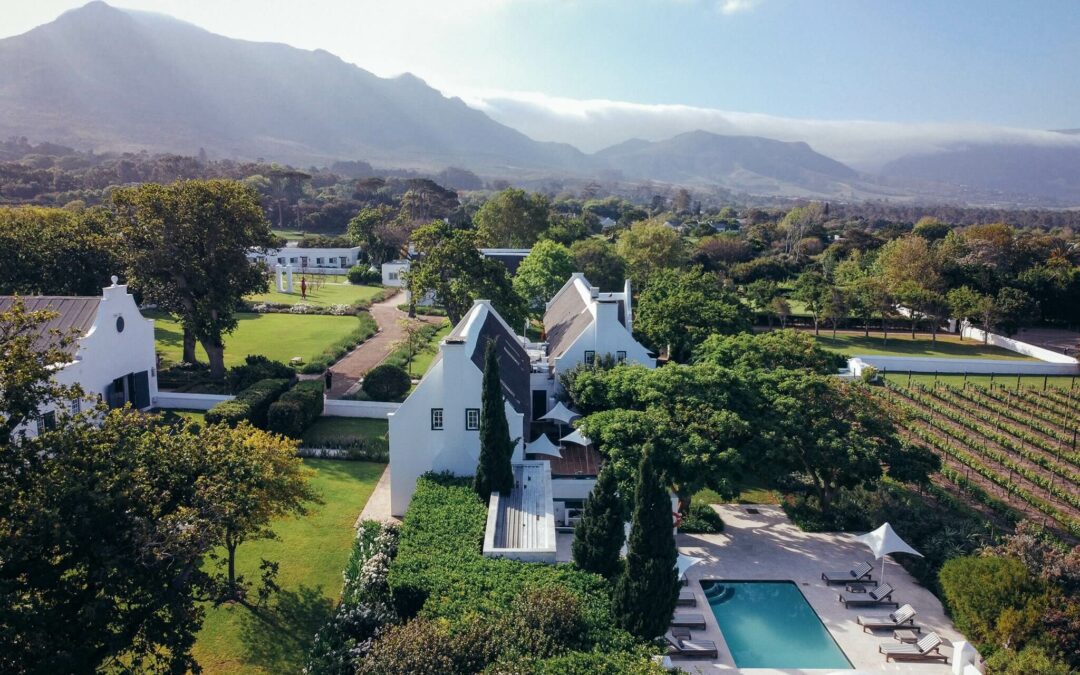 Constantia on Crutches: Exploring the Valley of the Vines Close to Home