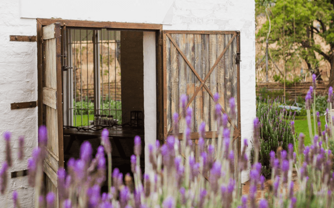 One of Jozi’s hidden gems: An urban winery in the heart of the city