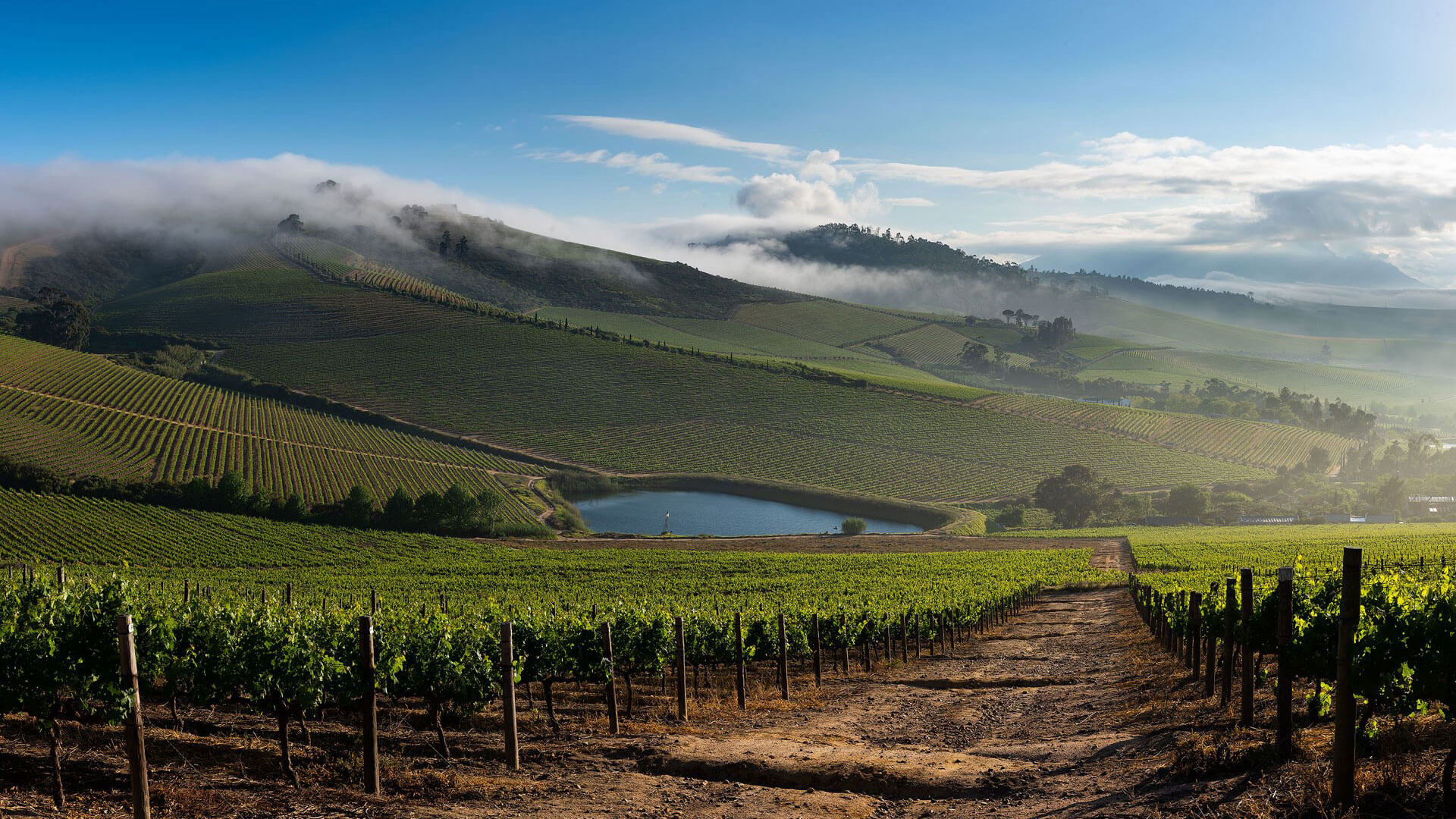 View from Jordan Restaurant with Marthinus Ferreira