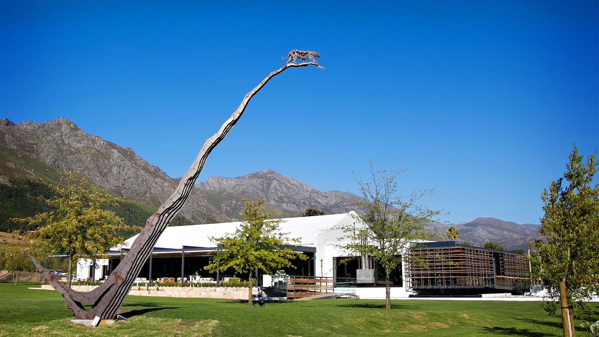 leopards-leap-franshhoek leopards leap restaurant