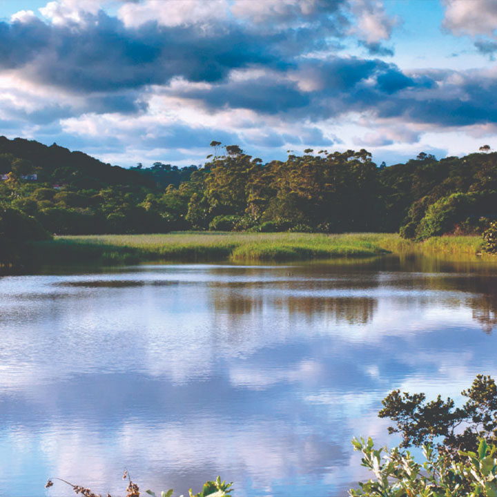trattoria la terrazza restaurant