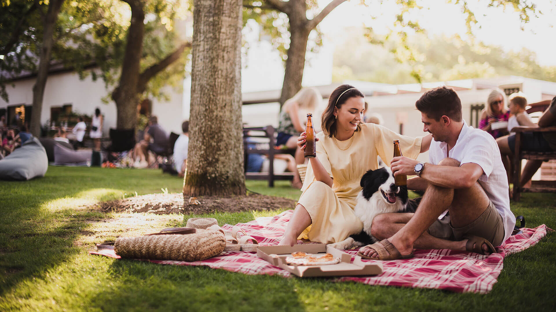 Romantic Valentine's Day specials 2023 Dineplan Blog