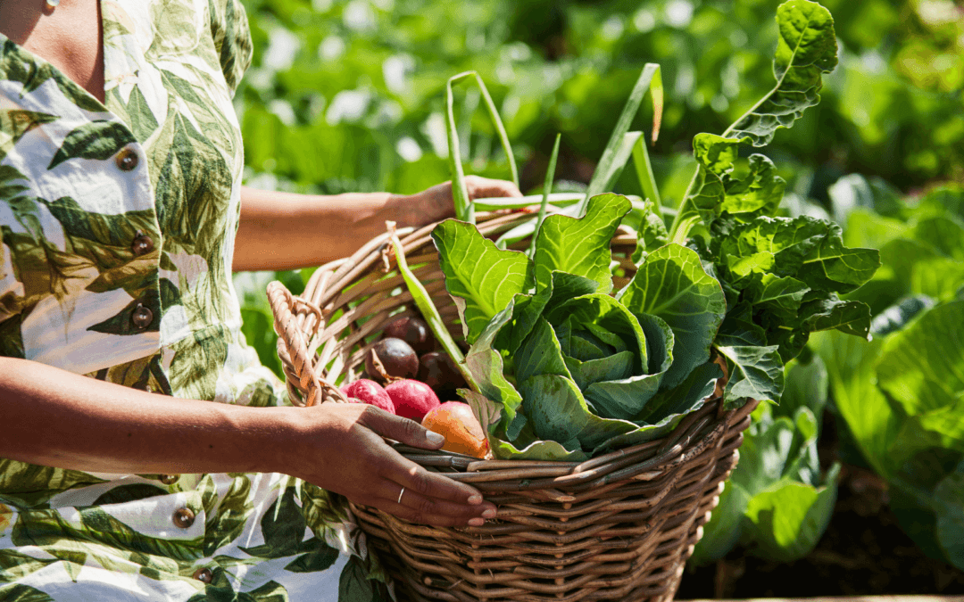 Boschendal Harvest Festival: Celebrate nature’s bounty with a farm-to-table weekend