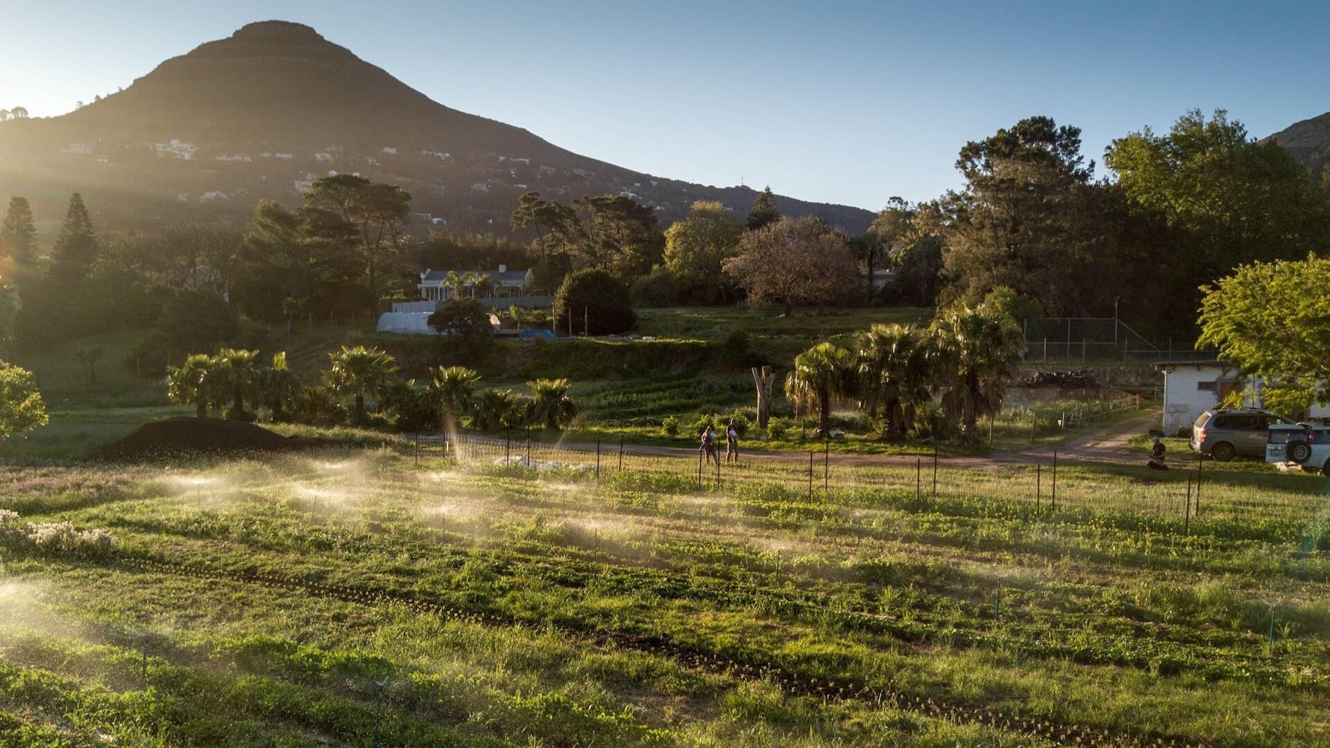 Farm to table Beyond the cliche Meuse Farm