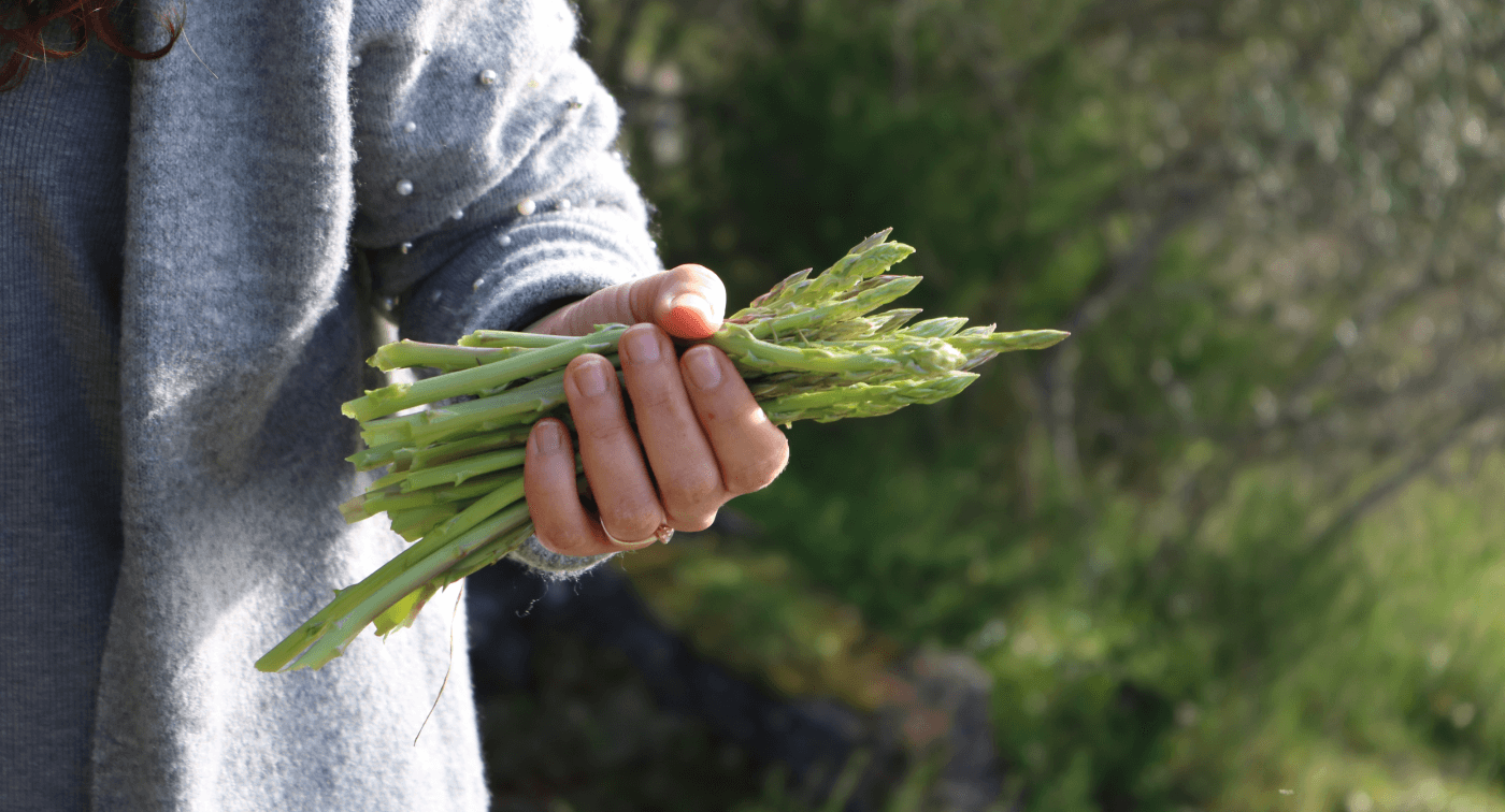 Women in a grey sweater with pearl details on the shoulder holds a bunch of asparagus.