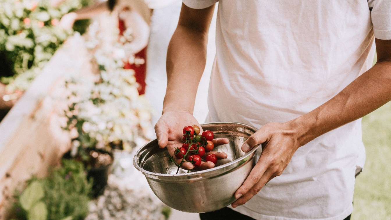 Man in a white shirt holds a silver bowl and cherry tomatoes in a garden.