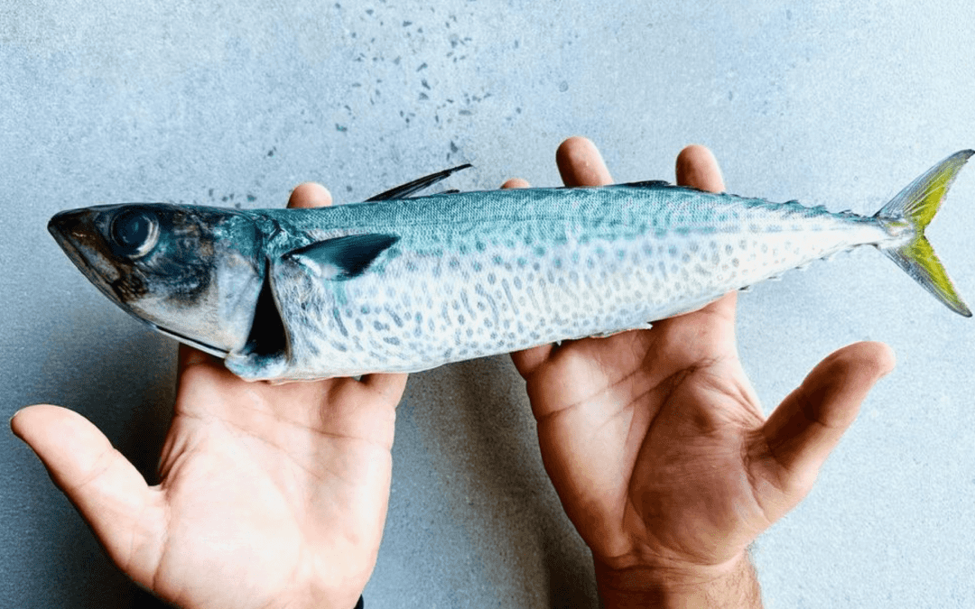 6 ways to eat seafood more sustainably