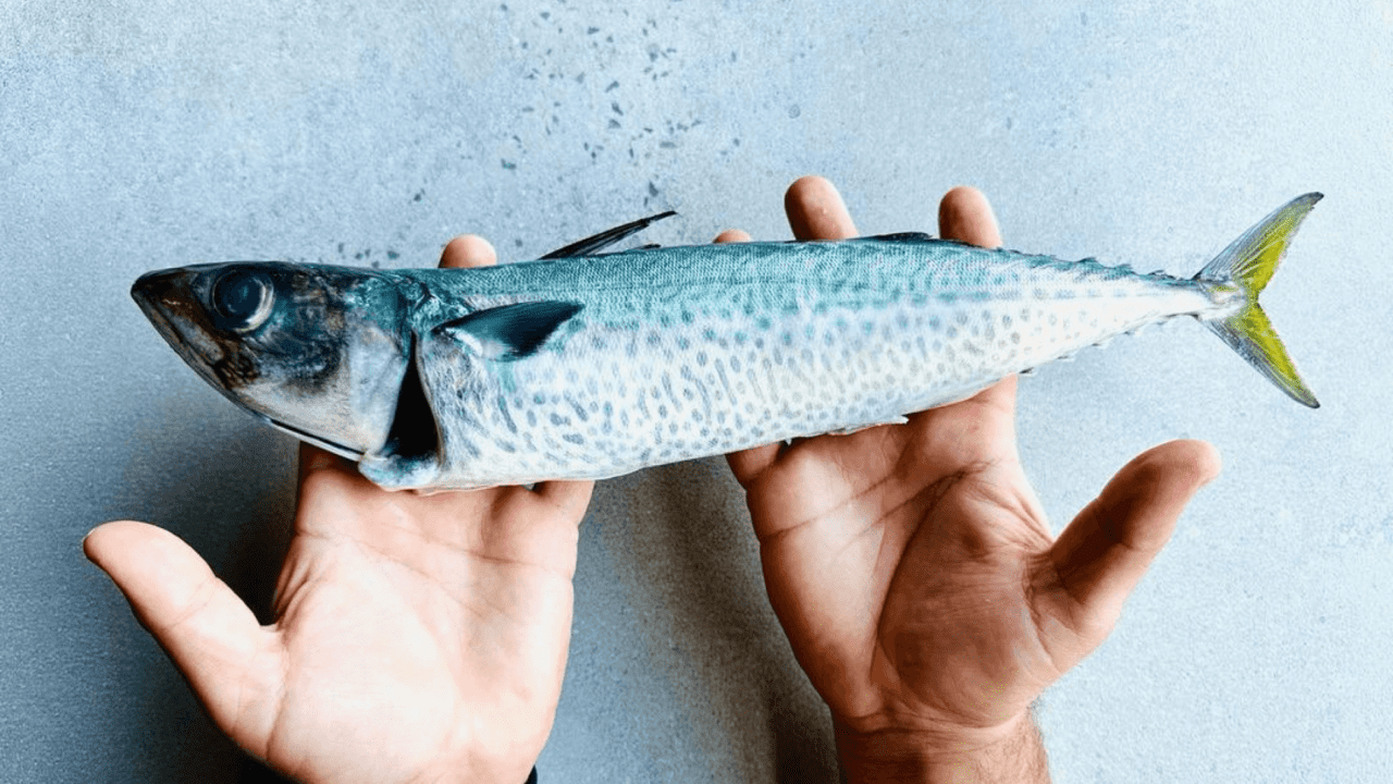 6 ways to eat seafood more sustainably | Dineplan Blog