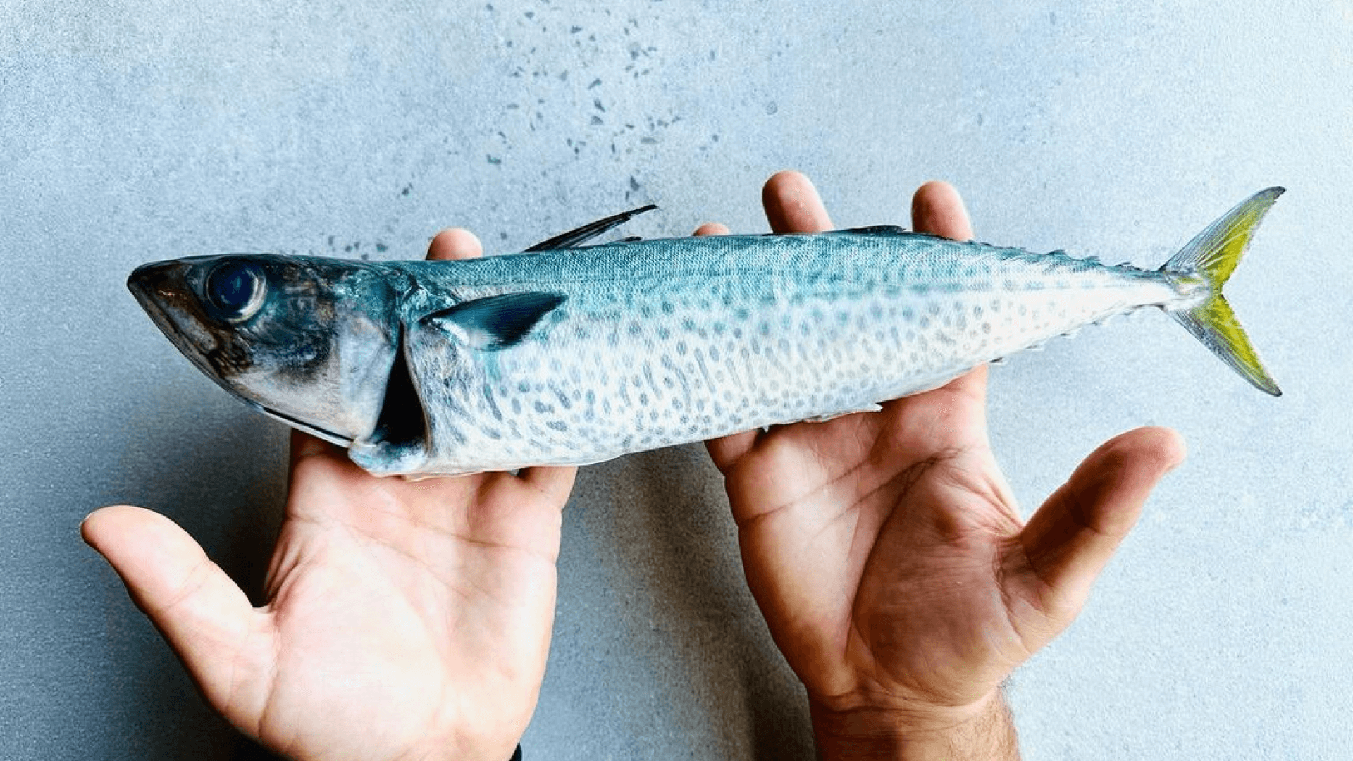 Sustainable seafood