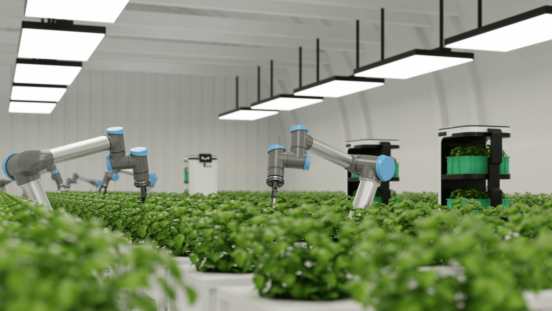 Robot and AI farming