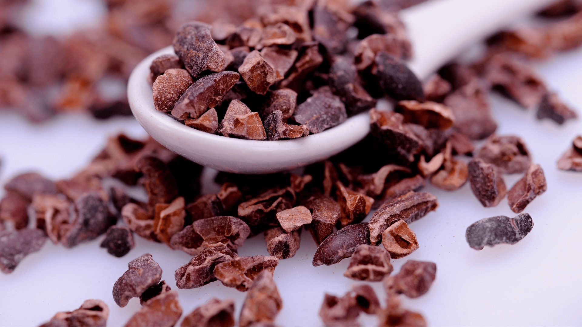 Cacao nibs in a spoon
