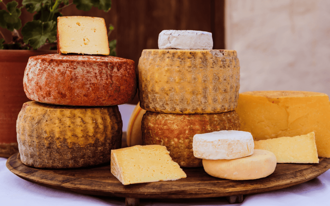 South Africa’s thriving cheese industry