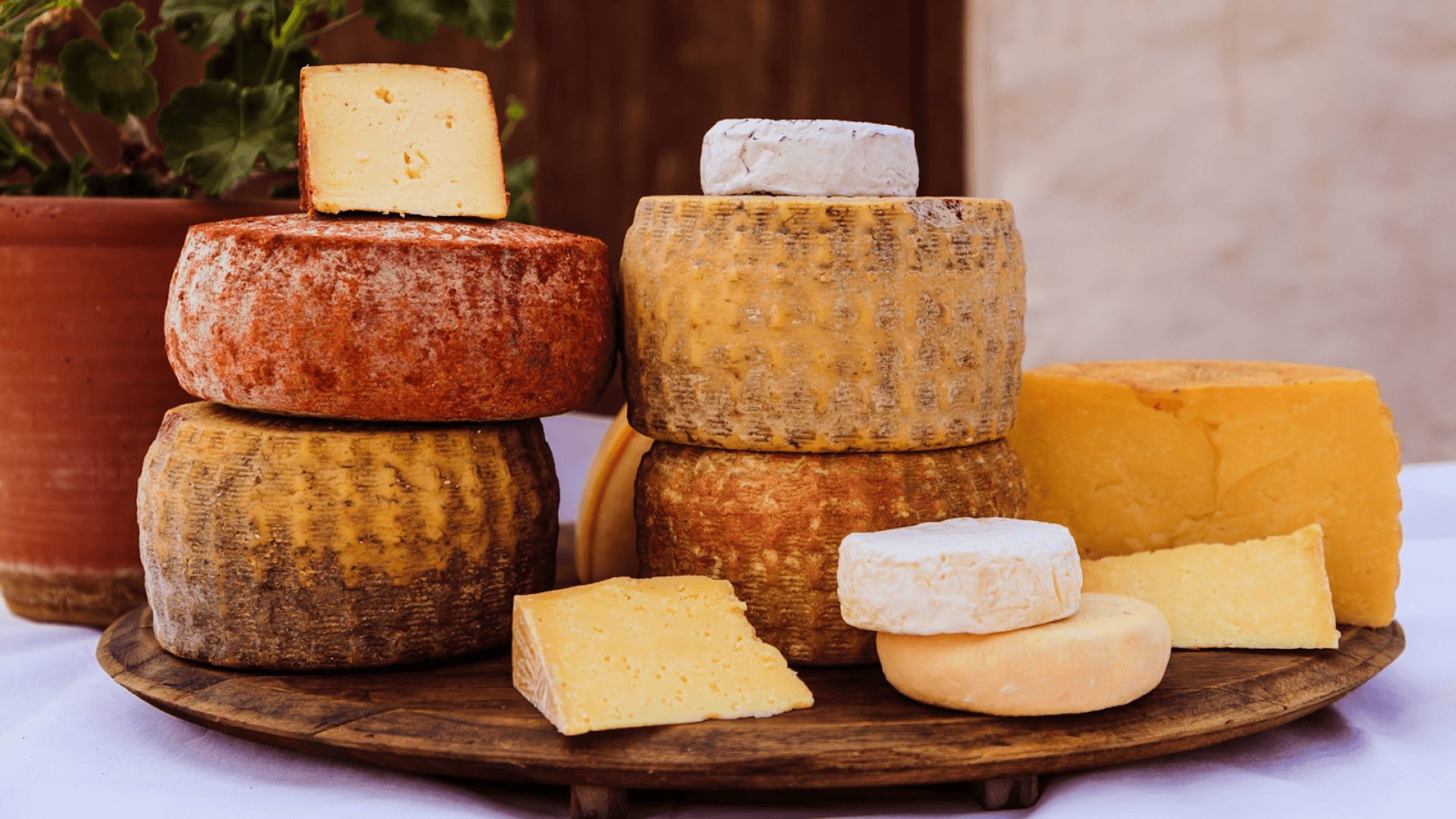 South Africa’s thriving cheese industry