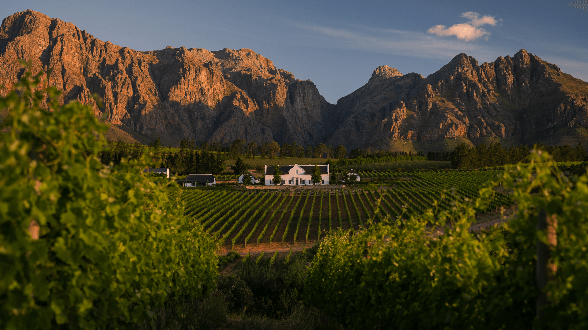 Blog Banner Post Blog Banner Post