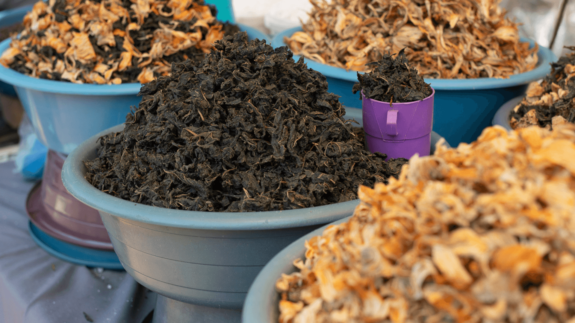 Indigenous ingredients in spring Indigenous ingredients in spring