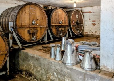 Adi Badenhorst cellar, filled with wooden barrels.