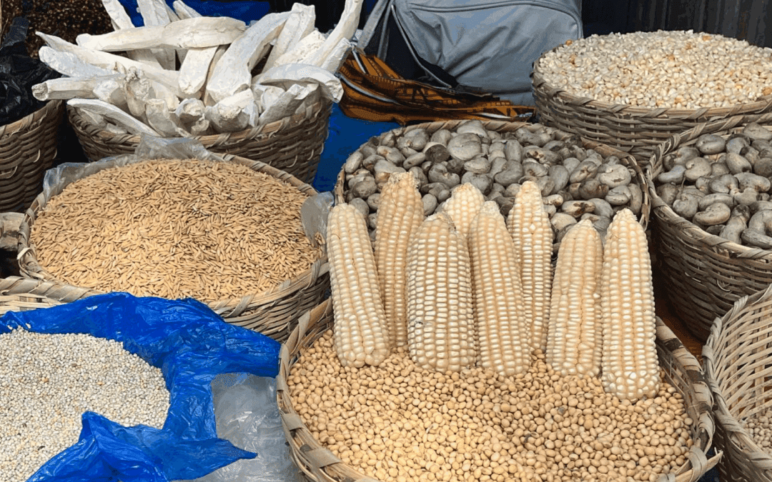 Bringing indigenous ingredients into the future