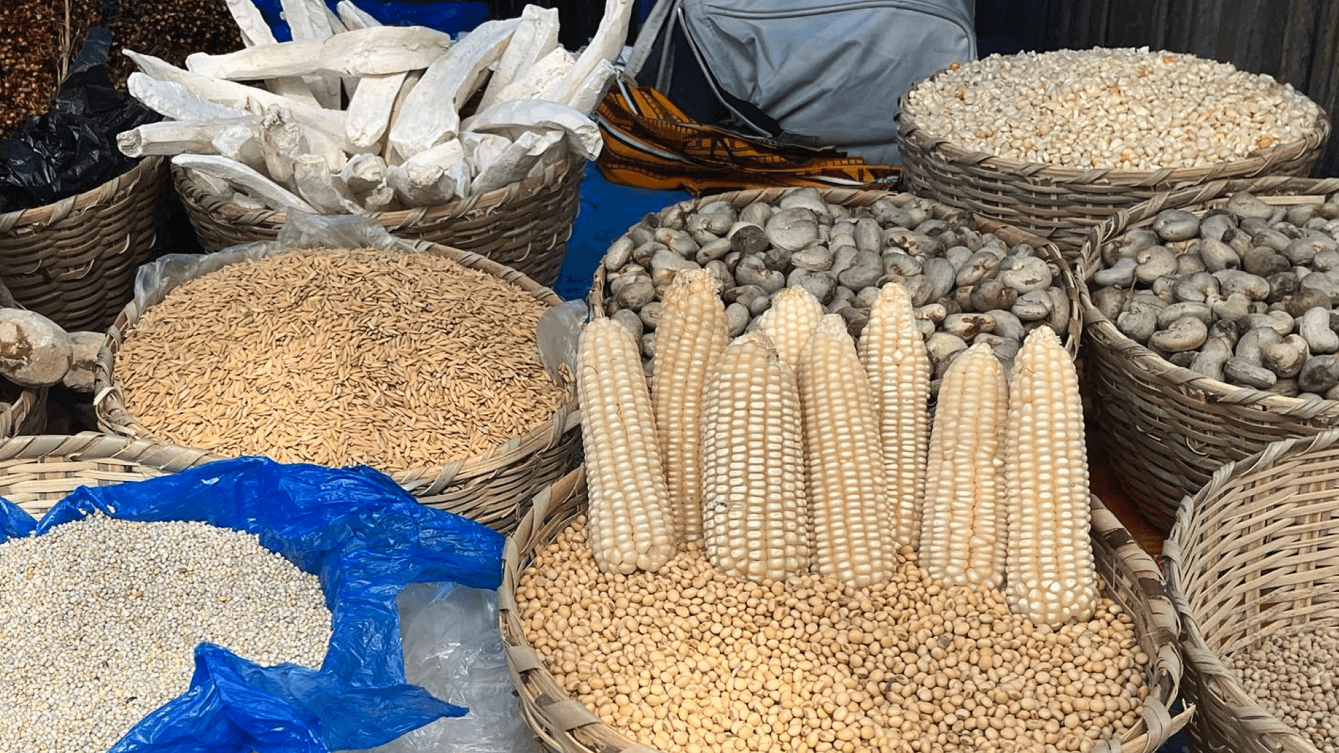 Bringing indigenous ingredients into the future Bringing indigenous ingredients into the future