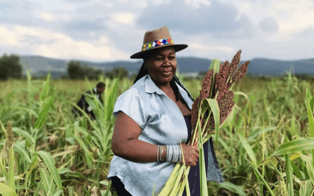 Meet the storytellers redefining African cuisine