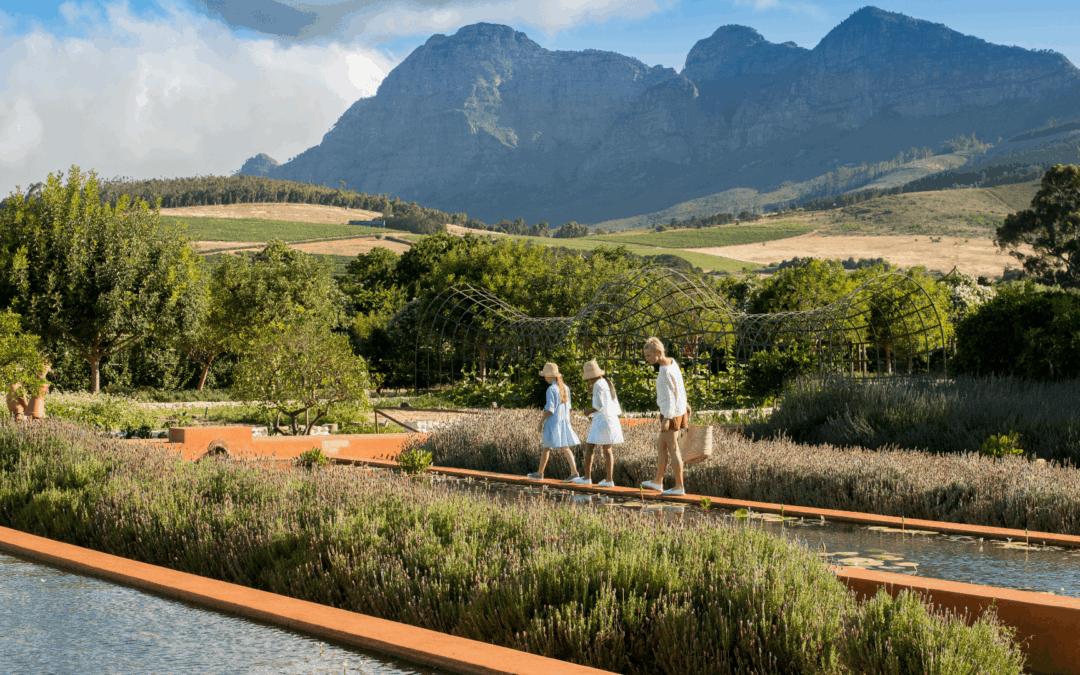 Stellenbosch travel guide: Why one night isn’t enough