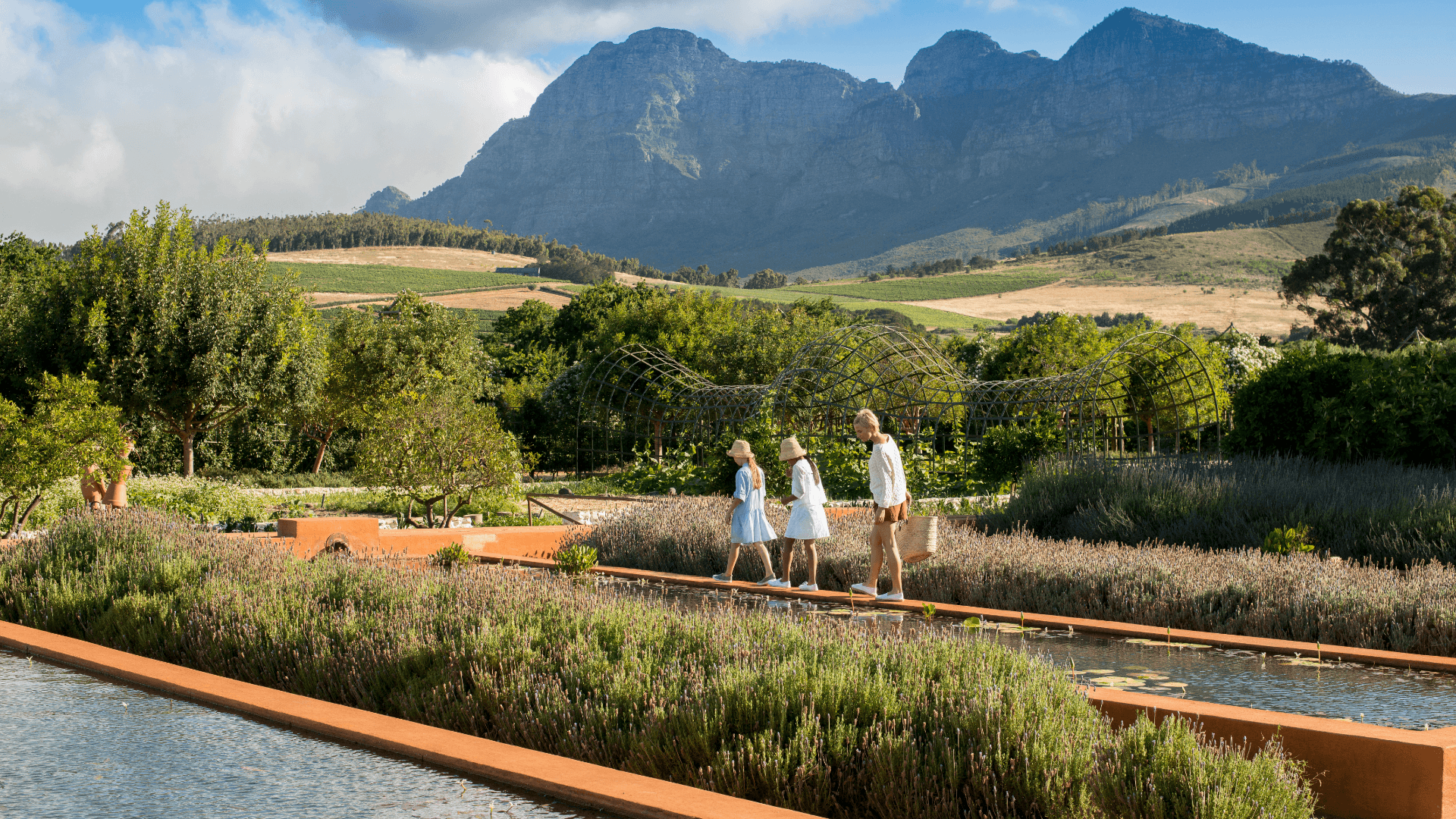 Stellenbosch travel guide why one night isnt enough Babylonstoren