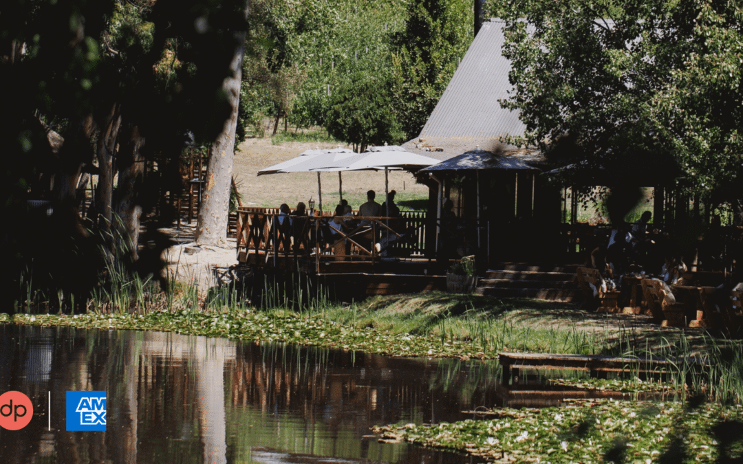 The Dineplan dining guide to South Africa’s Top 100 restaurants in 2026