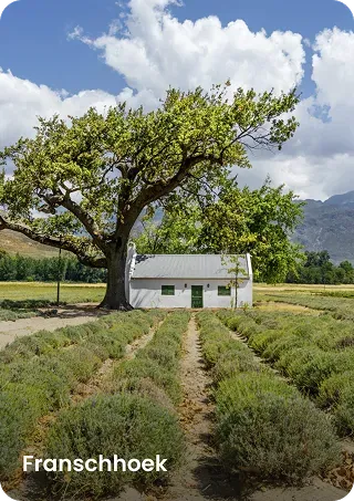 Franschhoek